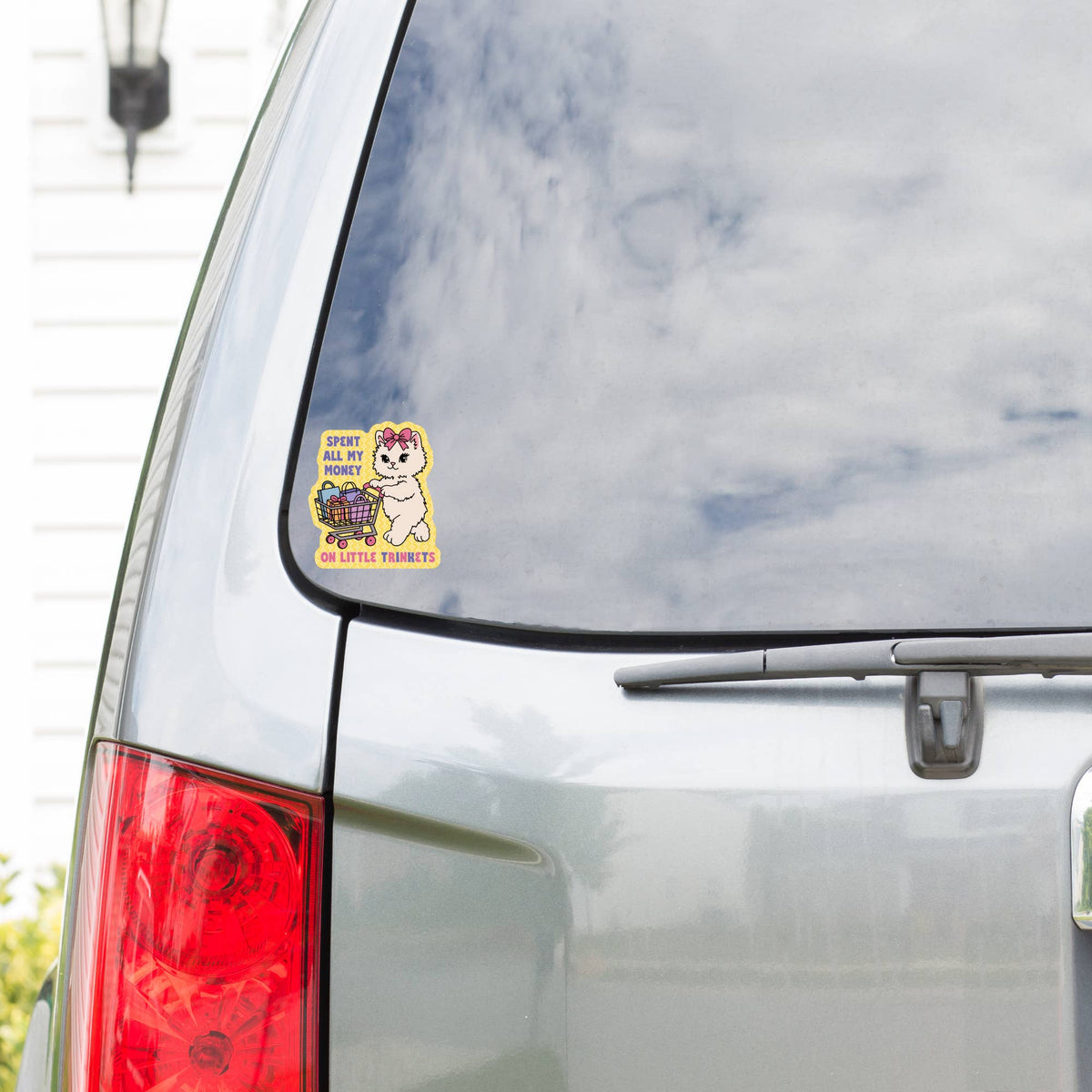 Spent All My Money on Trinkets Cat Sticker