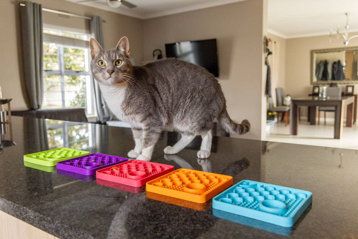LickiMat Catster Lick Mat