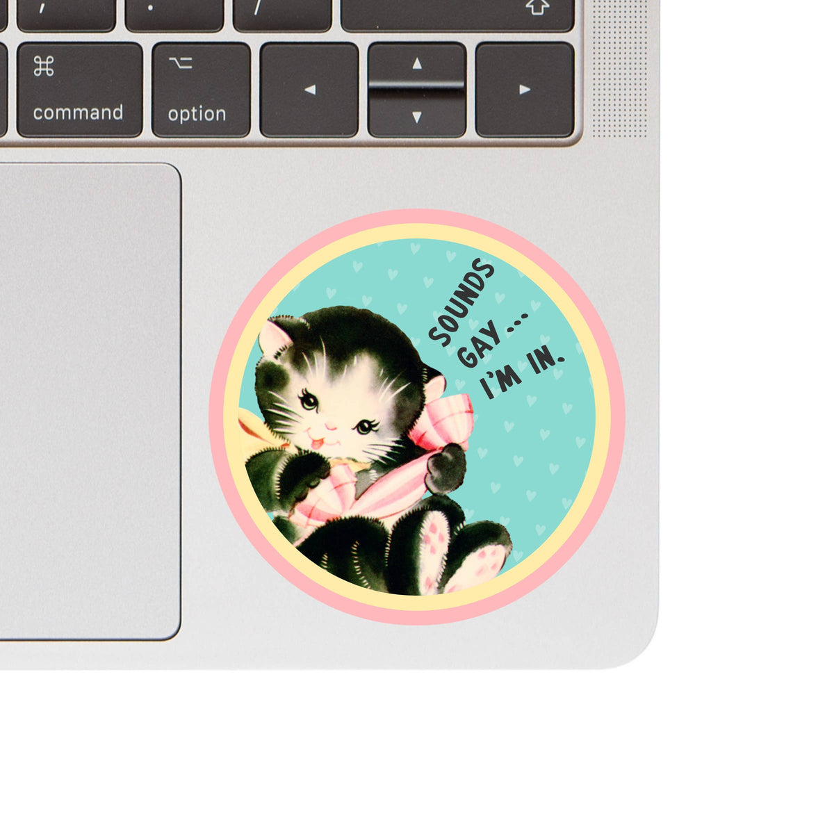 Sounds Gay, I’m In Cat Sticker