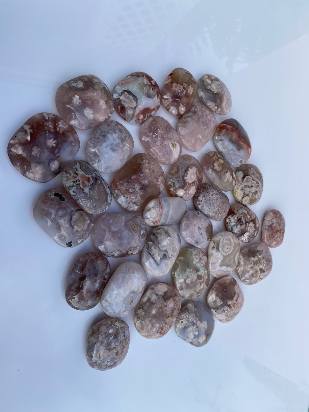 Flower Agate “Toe Beans” Palm Stone