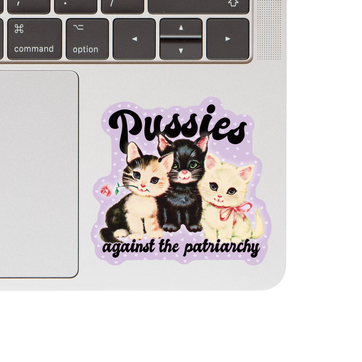 Pussies Against the Patriarchy Sticker