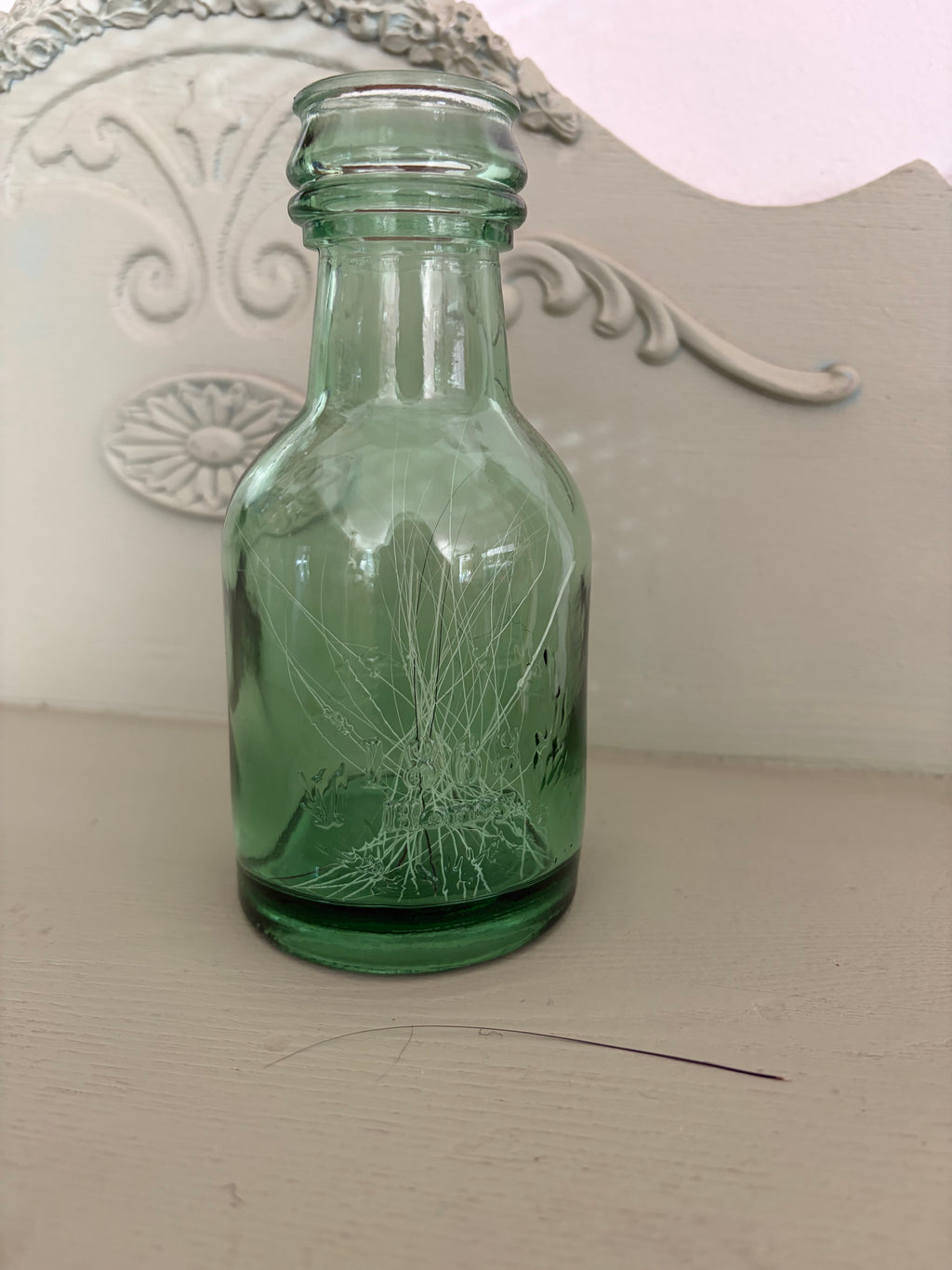 Whisker & Oddities Jar