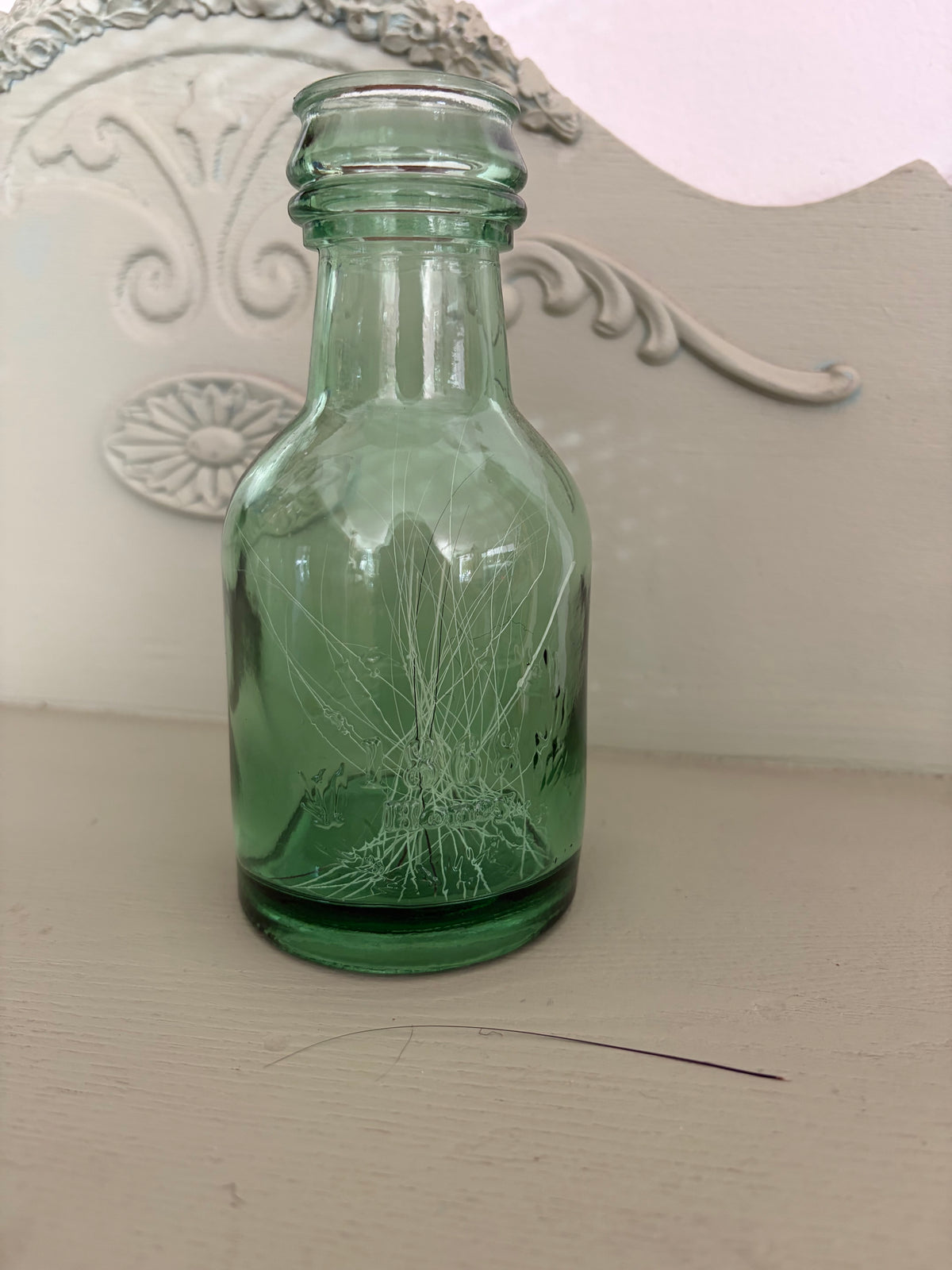 Whisker & Oddities Jar