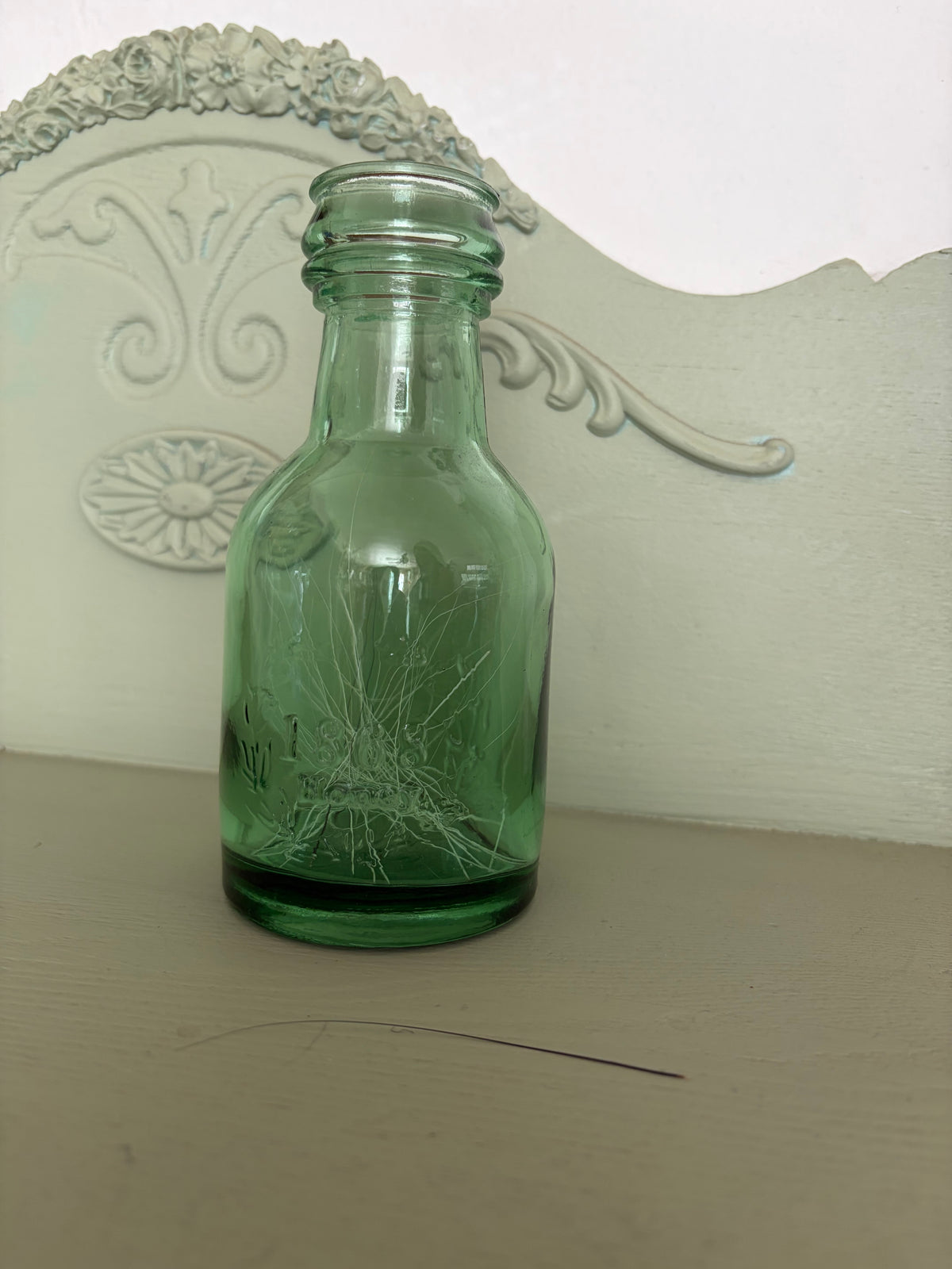 Whisker & Oddities Jar