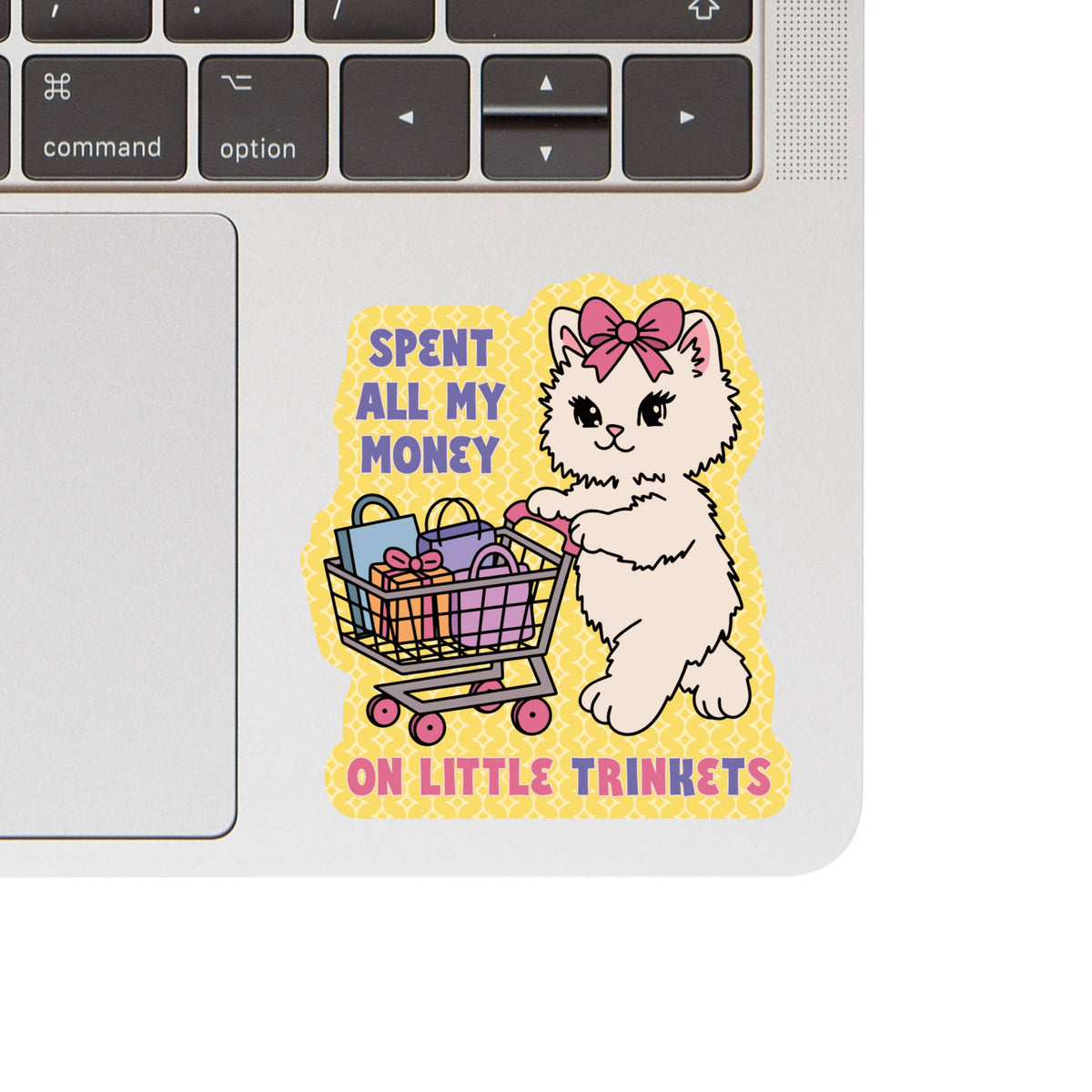 Spent All My Money on Trinkets Cat Sticker