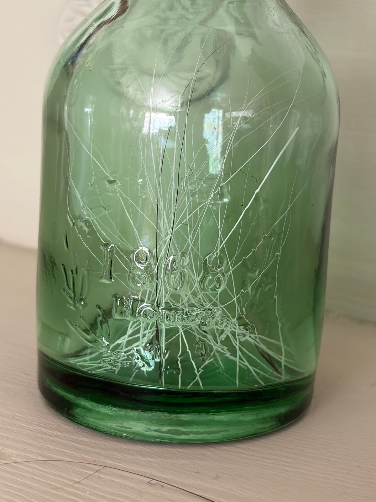 Whisker & Oddities Jar