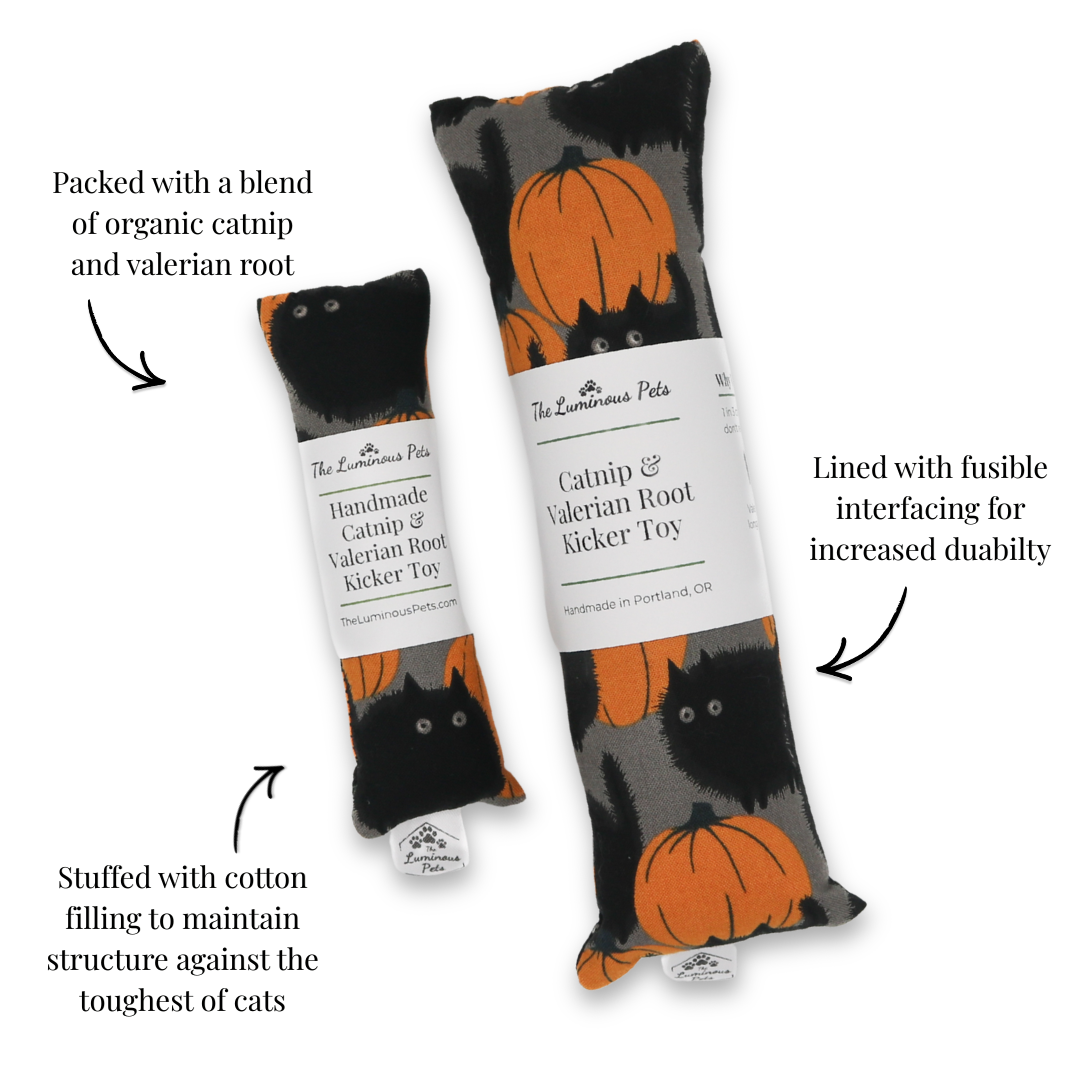 Pumpkin Patch Catnip & Valerian Root Kicker Toy