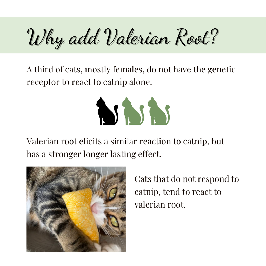 Celestial Celtic Cats Catnip & Valerian Root Kicker Toy