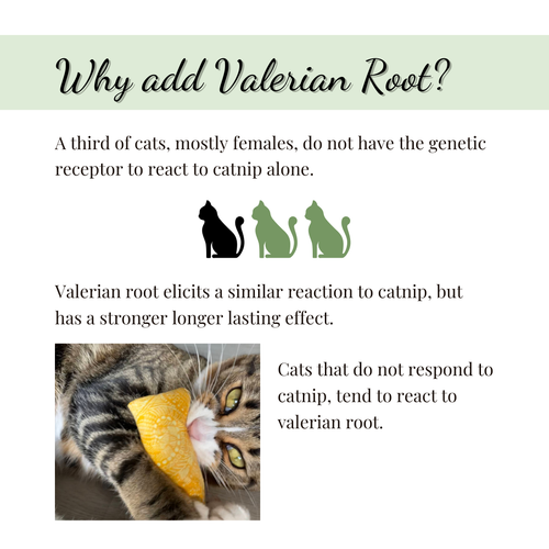 Catnip with Valerian Root Cat Toy | Celestial Animals |Stars